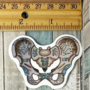 🌀10/$10🌀 Anatomy Reusable Waterproof Vinyl Sticker Decal